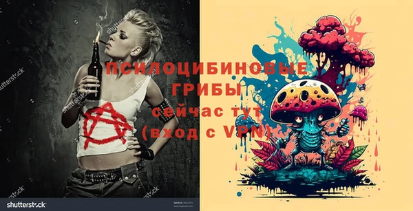 мяу мяу мука Арсеньев